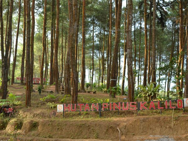 Kategori Destinasi Badan Otorita Borobudur