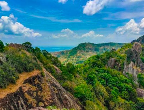 Geopark Jogja Ditetapkan Sebagai Geopark Nasional