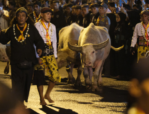 Kirab Pusaka Malam 1 Suro Surakarta: Merayakan Tradisi Keagungan