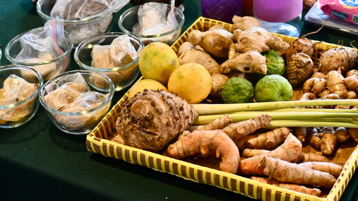 Jogja CUltural Wellness 2025